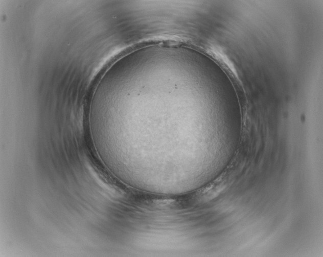 X0000088740108200706141713