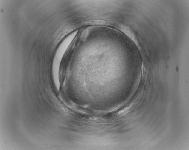 X0000088740109200706141713