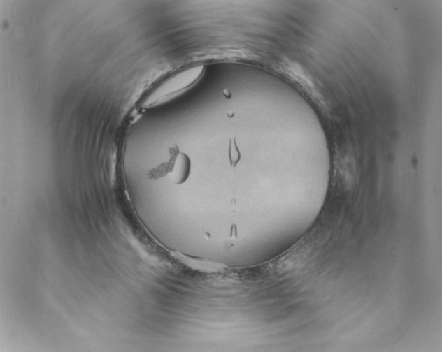 X0000088740110200706141713