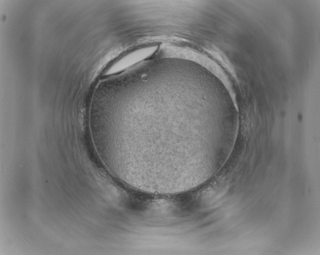 X0000088740111200706141713