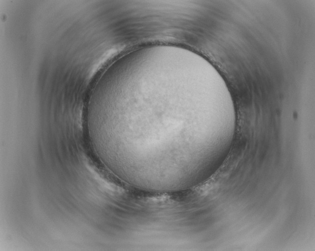 X0000088740112200706141713