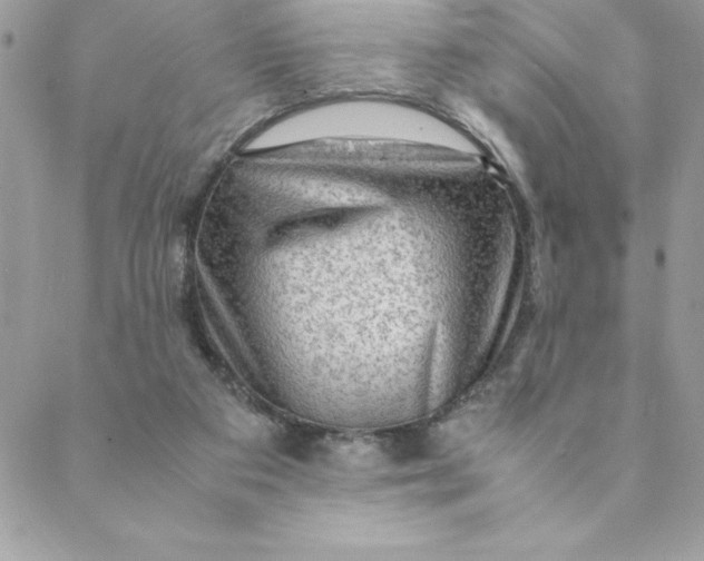 X0000088740113200706141713