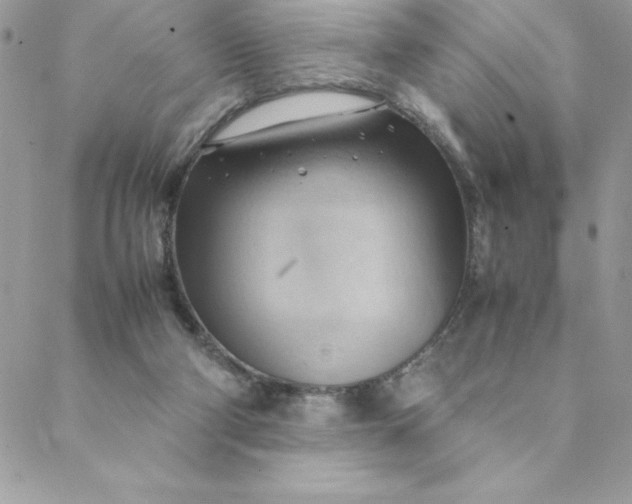 X0000088740114200706141713