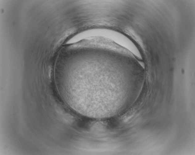 X0000088740115200706141713