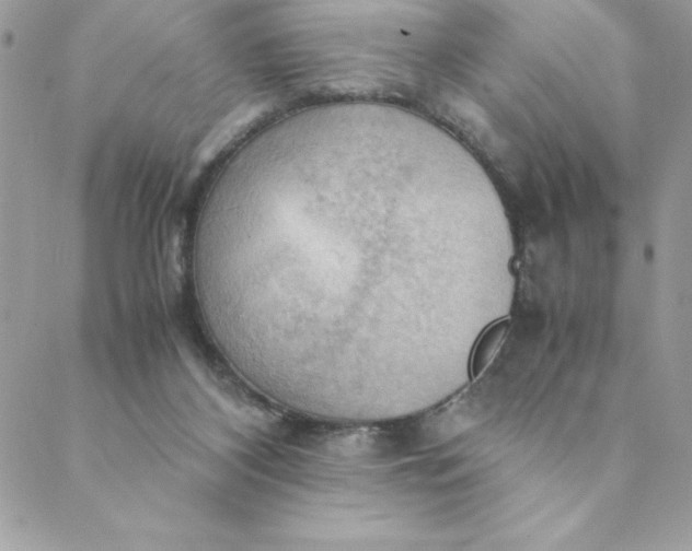 X0000088740116200706141713