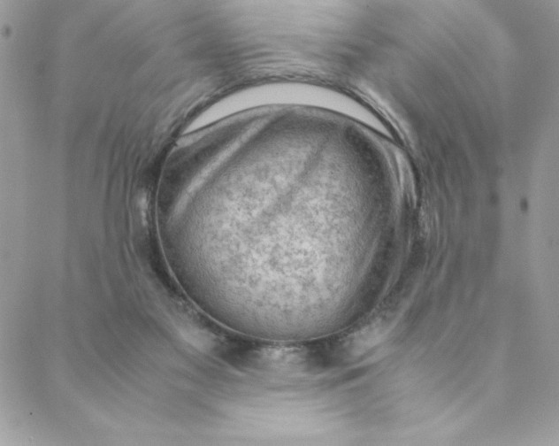 X0000088740117200706141713