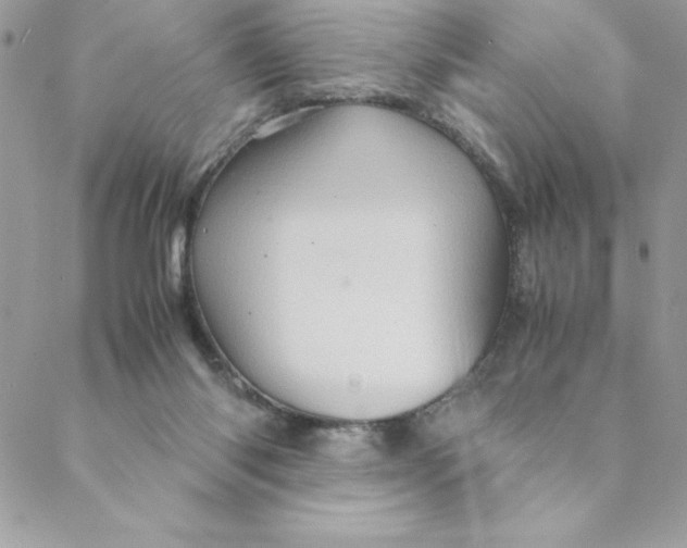 X0000088740118200706141713