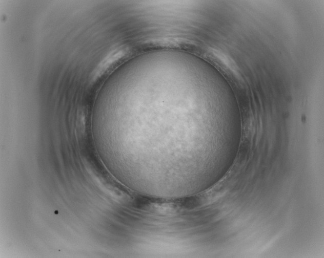 X0000088740120200706141713