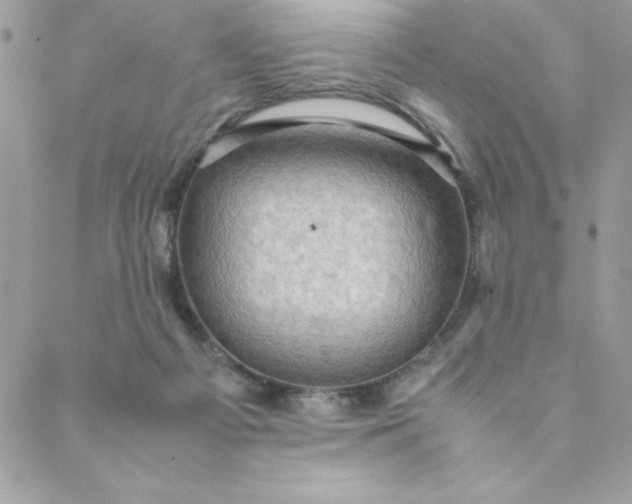 X0000088740121200706141713