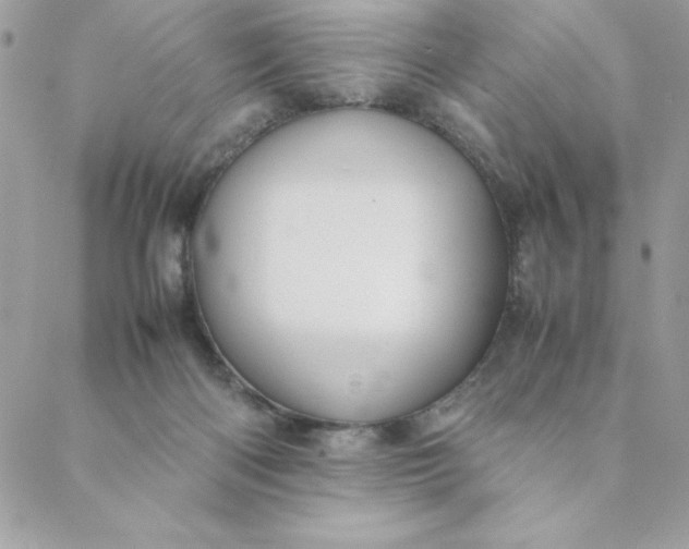 X0000088740122200706141713