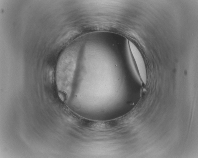 X0000088740123200706141713