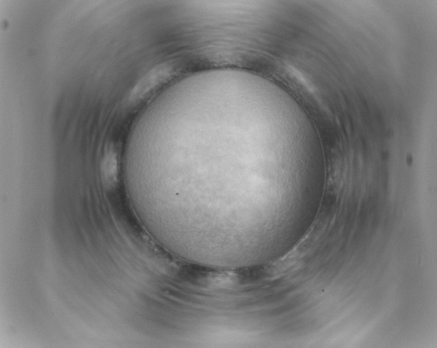 X0000088740124200706141713