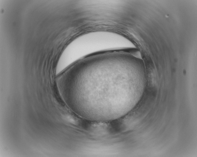 X0000088740125200706141713