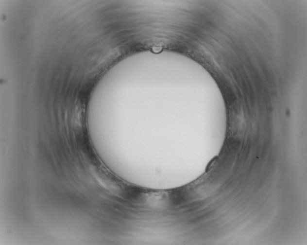 X0000088740126200706141713