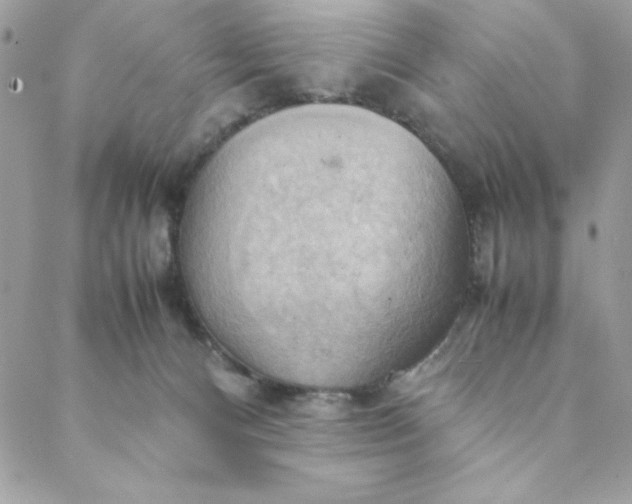 X0000088740128200706141713