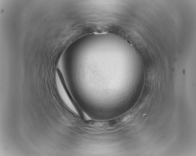 X0000088740129200706141713