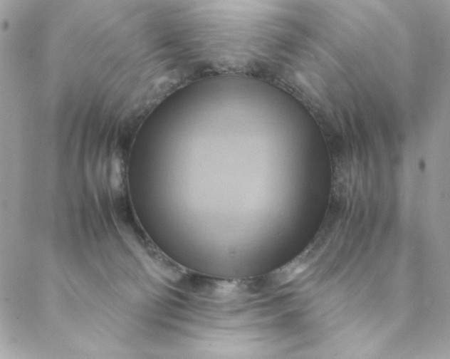 X0000088740130200706141713