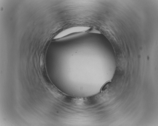 X0000088740131200706141713