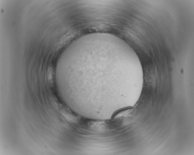 X0000088740132200706141713