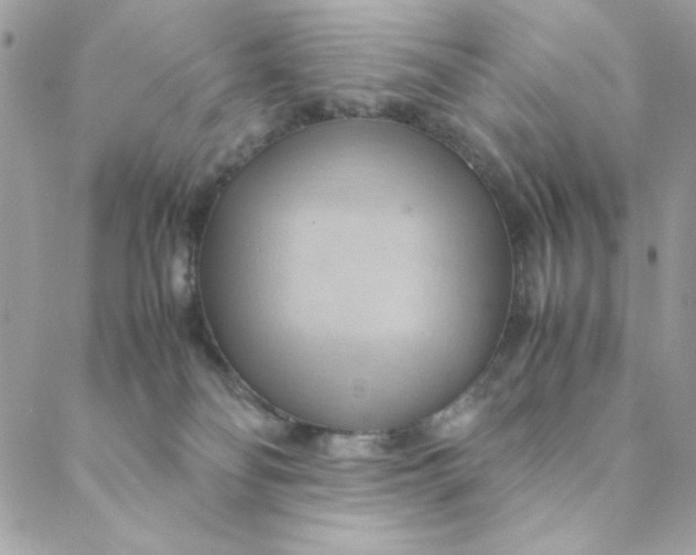 X0000088740134200706141712