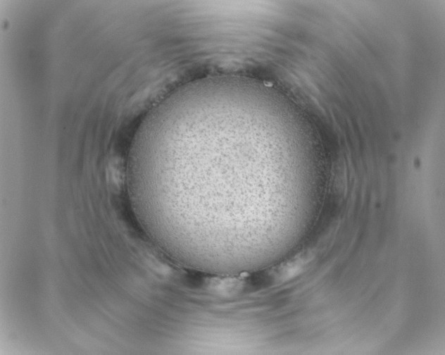 X0000088740135200706141712