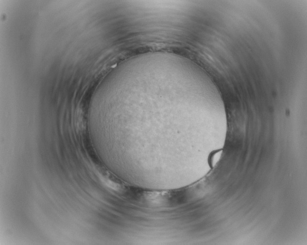 X0000088740136200706141712