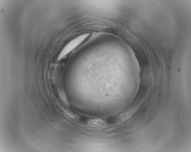 X0000088740137200706141712