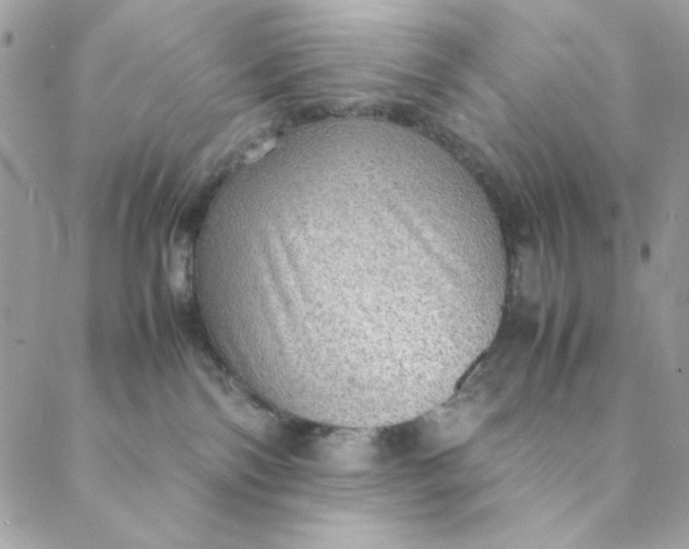 X0000088740138200706141712