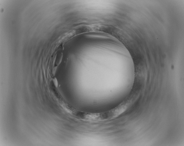 X0000088740139200706141712