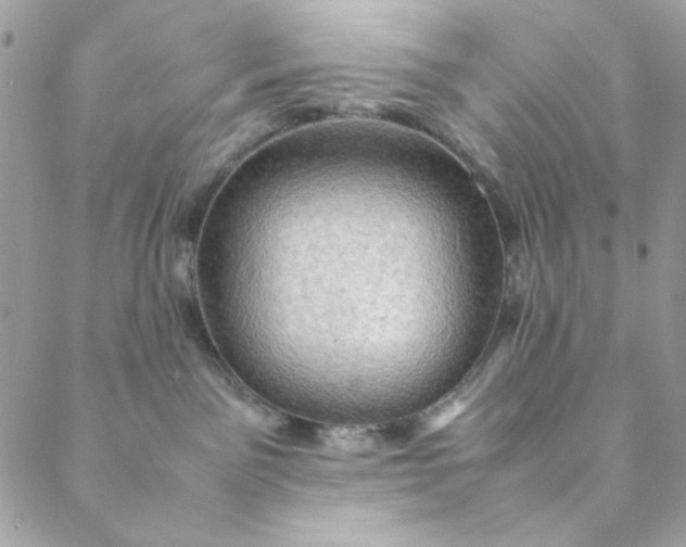 X0000088740141200706141712