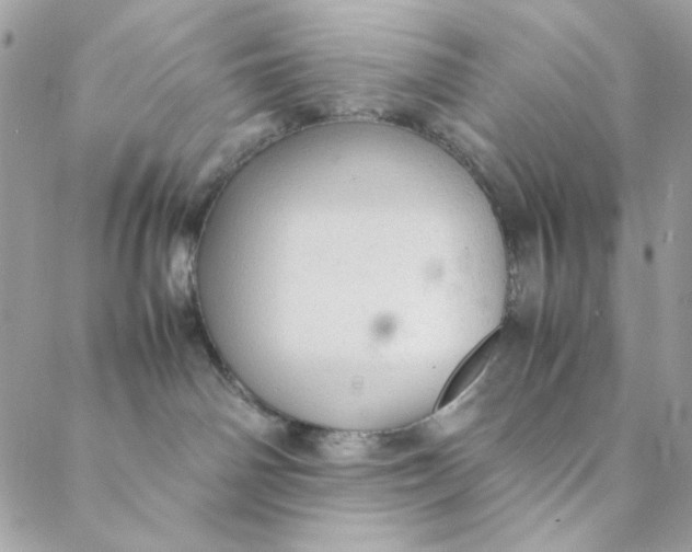 X0000088740142200706141712