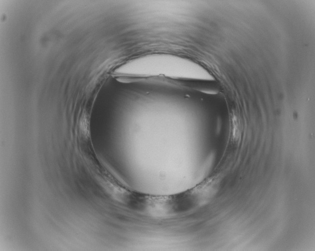 X0000088740143200706141712