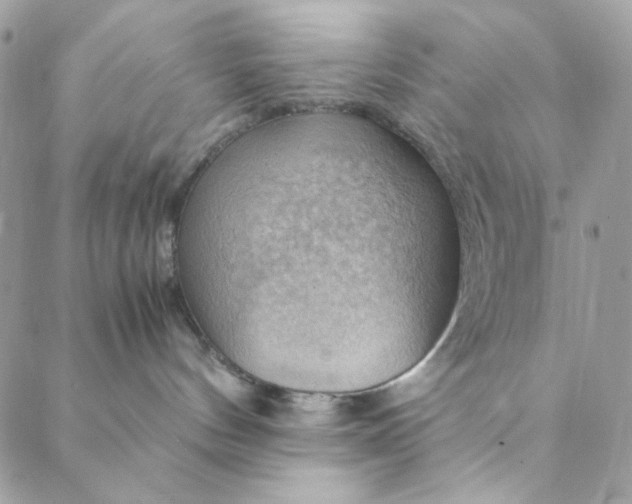 X0000088740144200706141712