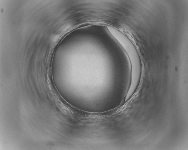 X0000088740145200706141712