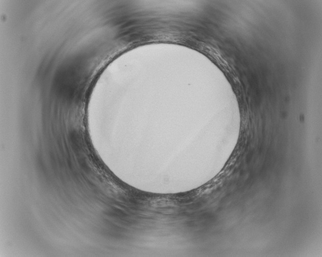 X0000088740146200706141712