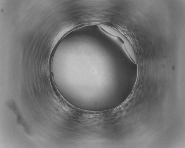 X0000088740147200706141712