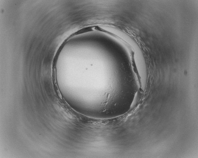 X0000088740148200706141712