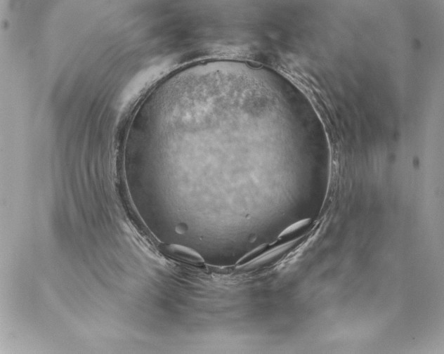 X0000088740149200706141712