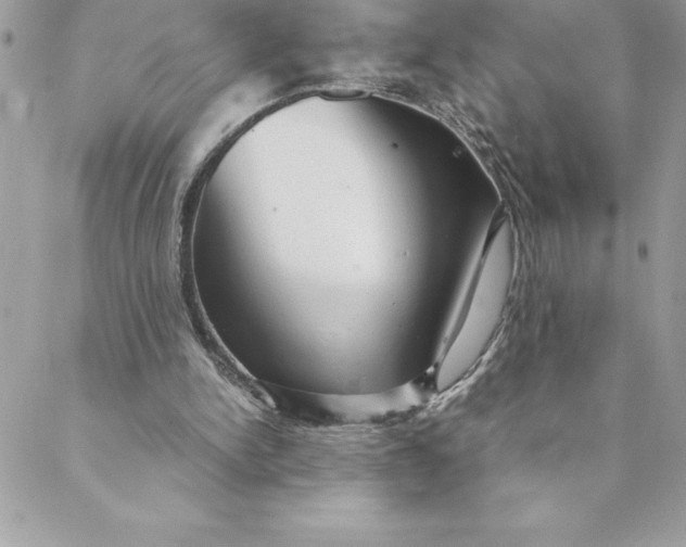 X0000088740150200706141712