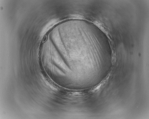 X0000088740151200706141712