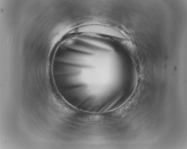 X0000088740152200706141712