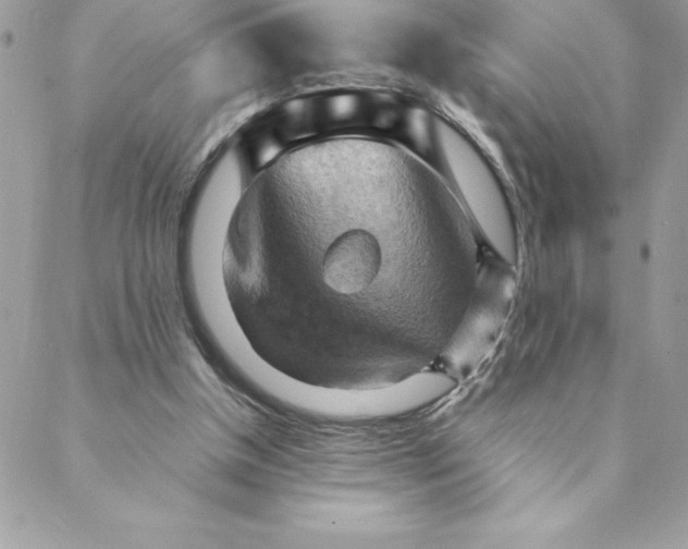 X0000088740154200706141712