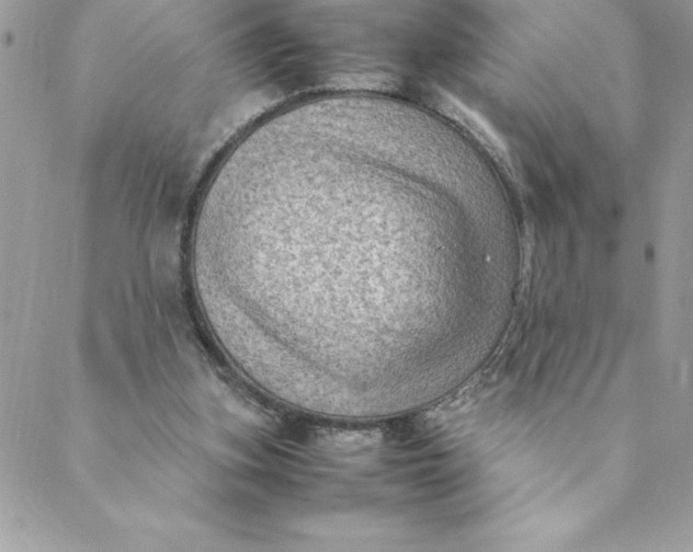 X0000088740155200706141712