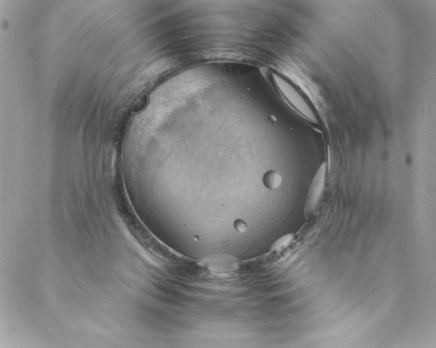 X0000088740157200706141712