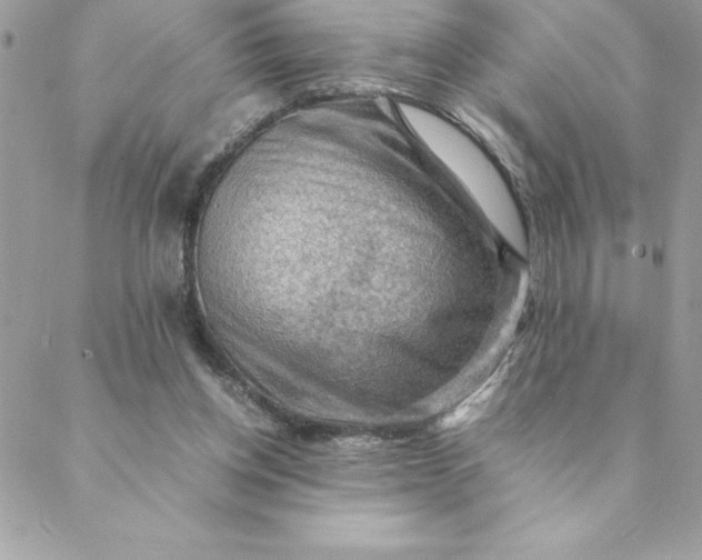 X0000088740158200706141712