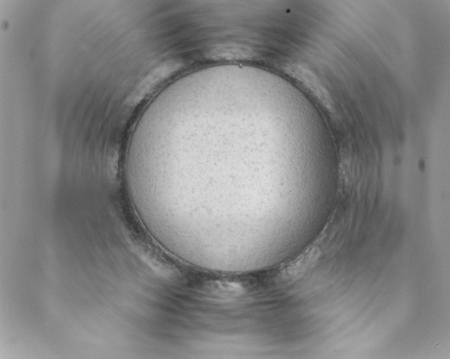 X0000088740159200706141712