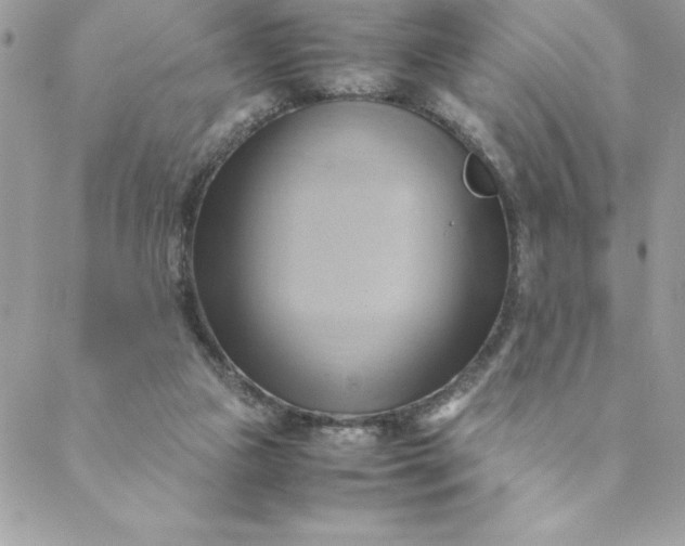 X0000088740161200706141712