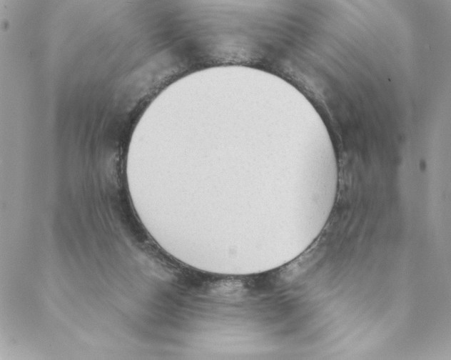 X0000088740162200706141712