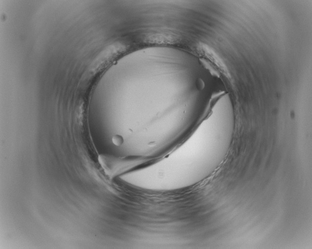 X0000088740163200706141712