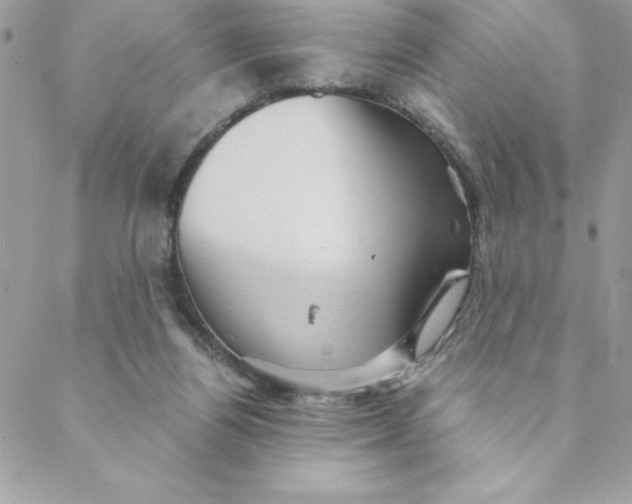 X0000088740164200706141712